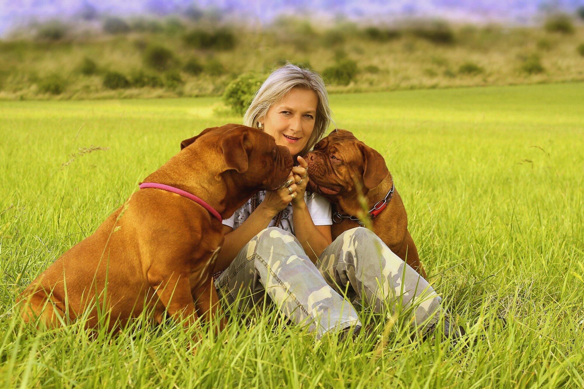 Difference Between Service, Emotional Support Animals and Pets